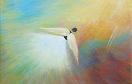Angel 2019
